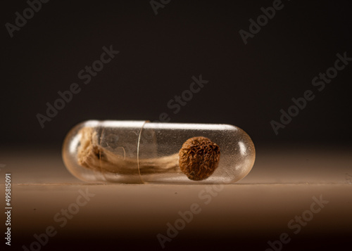 Photography whole psilocybin mushroom inside a clear medicine capsule