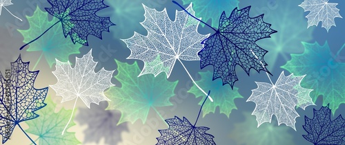 Fall maple leaves illustration. 