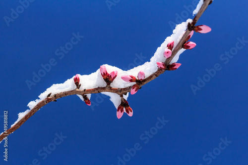 Foto cold-weather damage
