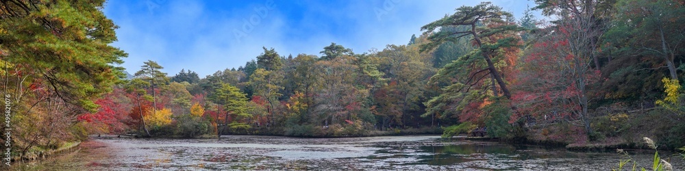 青空バックに見る紅葉と池のパノラマ情景@神戸、兵庫 青空バックに見る紅葉と池のパノラマ情景@神戸、兵庫