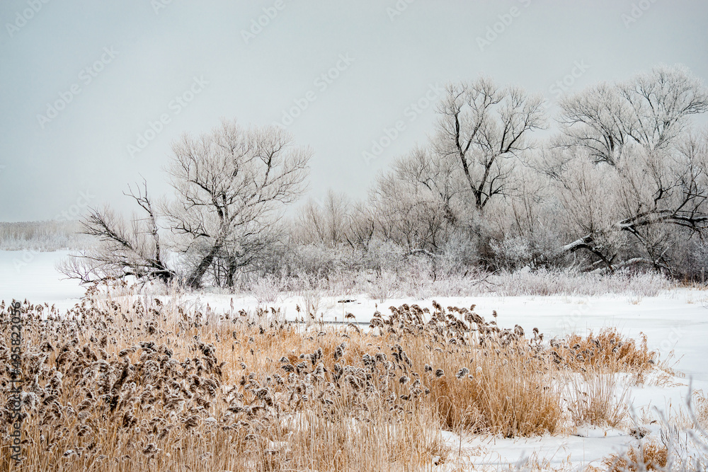 Fogg on the cold winter day by the St. Lawrence river Fogg on the cold winter day by the St. Lawrence river