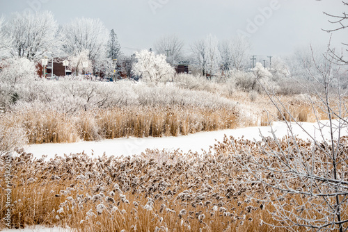 Wallpaper Mural Fogg on the cold winter day by the St. Lawrence river   Torontodigital.ca