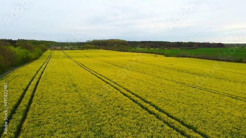 Flight over blooming rapefields in the countryside - aerial photography photo