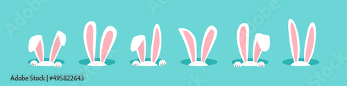Easter bunny vector icon, rabbit in hole, cartoon ears on blue background. Cute animal illustration