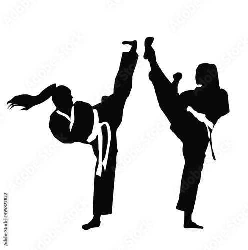 taekwondo logo vector illustration 