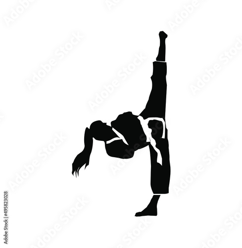 taekwondo logo vector illustration 