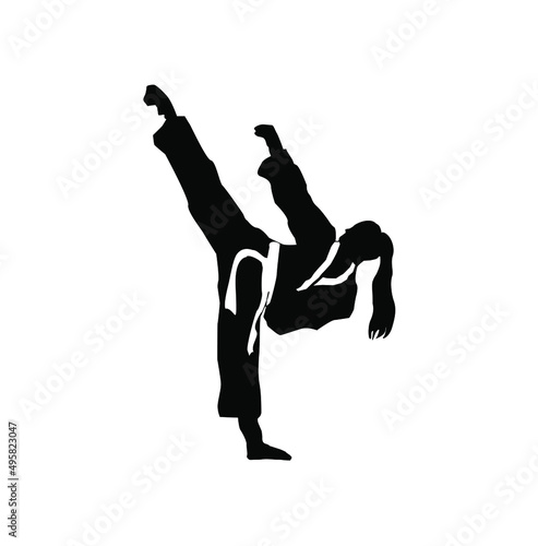 taekwondo logo vector illustration 