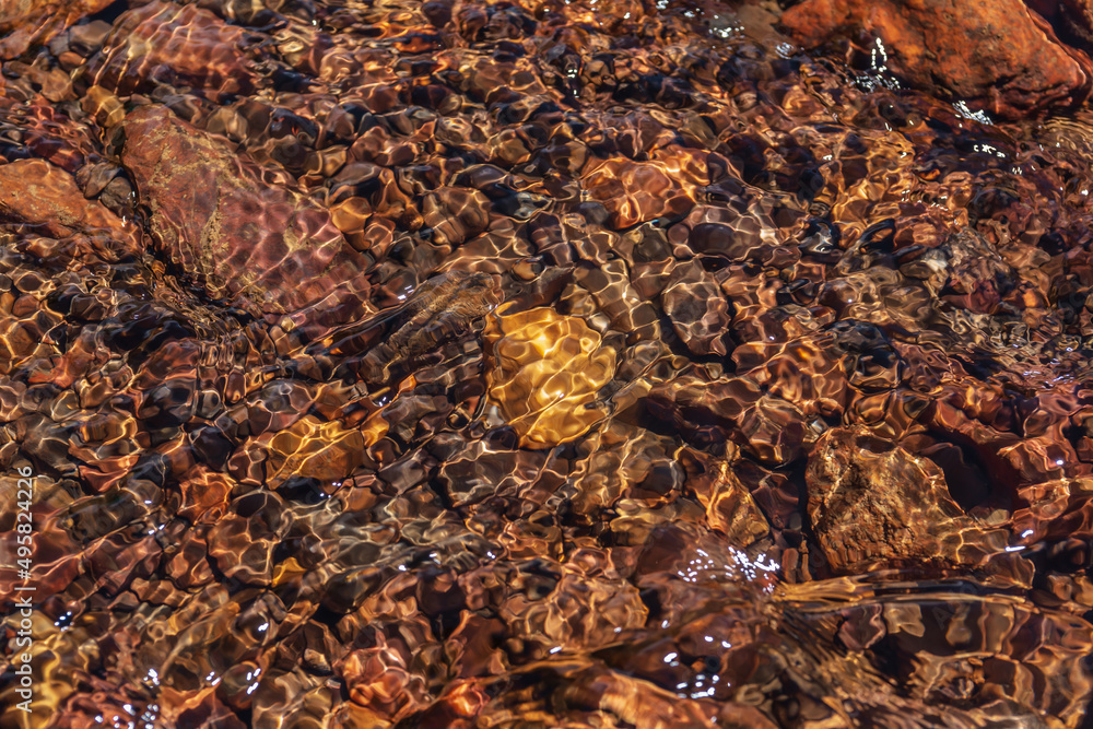 Obraz premium Nature background of clear water stream with motley stony bottom in sunlight. Colorful mountain stream texture with mineral water in bright sun. Pattern of sunlit multicolor stones in spring water.