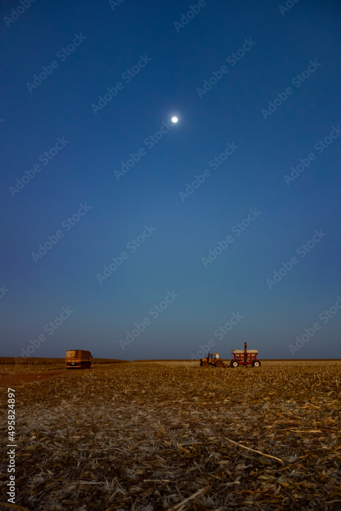 Fototapeta premium Brazilian corn field after harvest