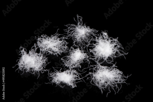 close up of white down feathers on black background photo