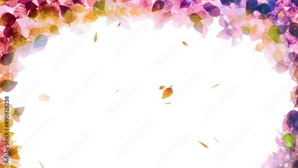 水彩風紅葉のフレームに葉っぱが舞うアニメーション 秋 水彩風紅葉のフレームに葉っぱが舞うアニメーション 秋
