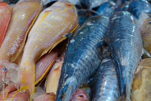 Various fresh sea fish sell in market