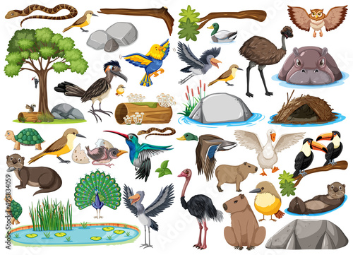 Different kinds of wild animals collection