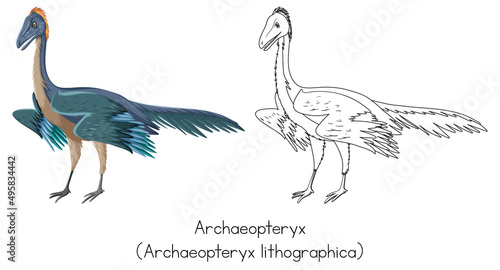 Dinosaur sketching of archaeopteryx