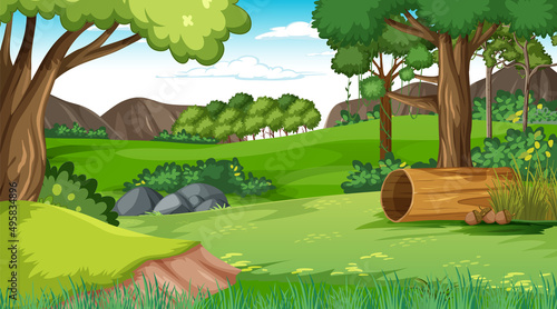 Nature outdoor forest background