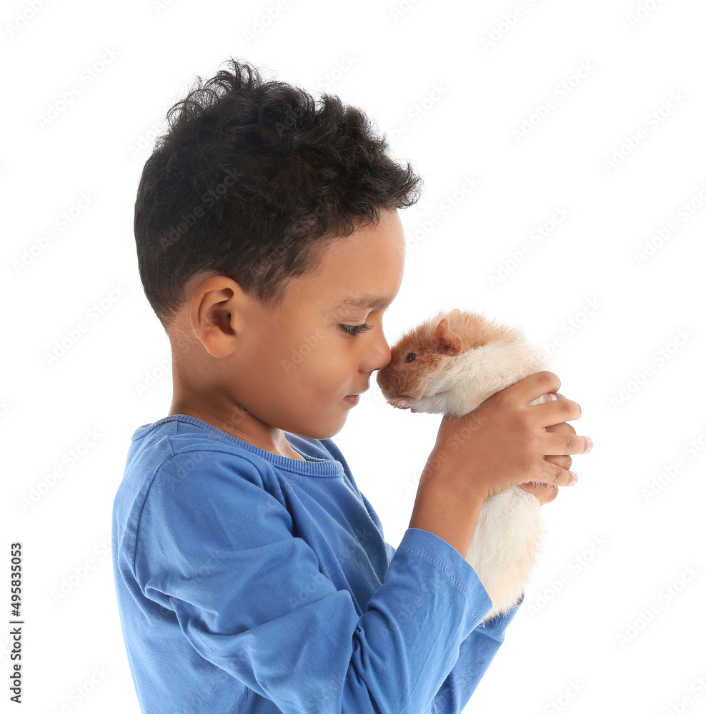 Little African-American boy with cute guinea pig isolated on white Little African-American boy with cute guinea pig isolated on white