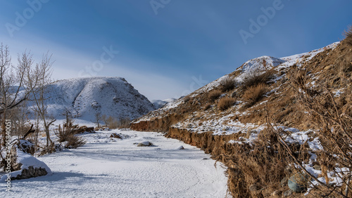 Snow-covered hills against a blue sky. Dry shrubs grow on the red-brown slopes. Bare trees in the valley. Altai. Kyzyl-Chin
