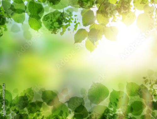 Summer background with green leaves on blurred nature background with beautiful bokeh and copy space for text