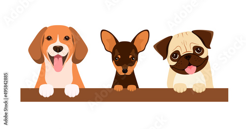 Funny dogs on a white background. Cartoon design.
