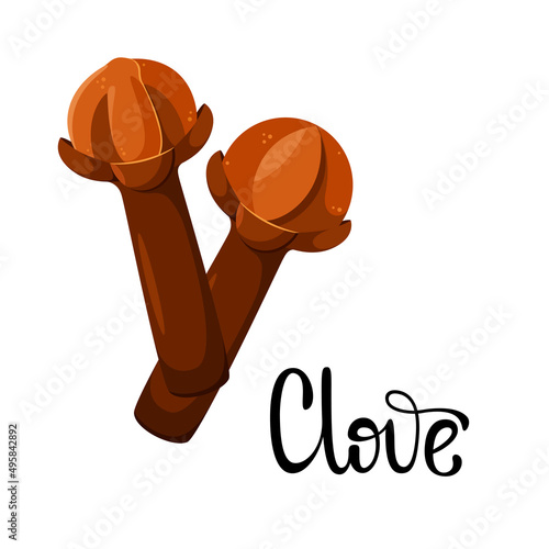 Spice cloves on a white background. Cartoon design.
