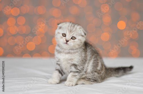 A small gray kitten of a marble color sitting on a white blanket and looking at the camera against the background of yellow lanterns. Place for text © Ermolaeva Olga