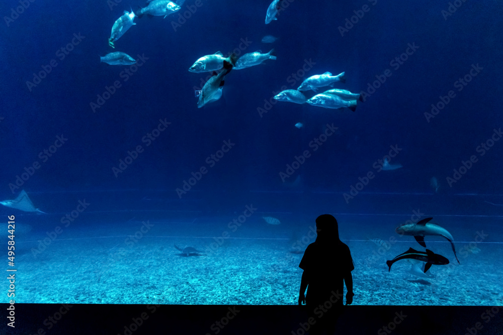 Girl watching a school of fish swimming in the aquarium