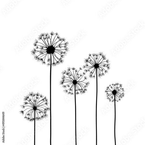 Wildflowers dandelion field, drawing, line art vector illustration. Set of isolated on white plants in outline style