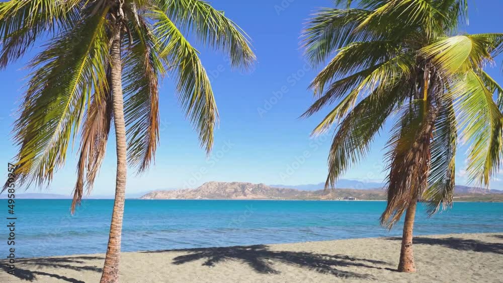 Green coconut palms on a sandy tropical beach. Turquoise sea under bright blue sky. Journey to a tropical paradise. Rest on the deserted coast of the Caribbean peninsula. Green coconut palms on a sandy tropical beach. Turquoise sea under bright blue sky. Journey to a tropical paradise. Rest on the deserted coast of the Caribbean peninsula.