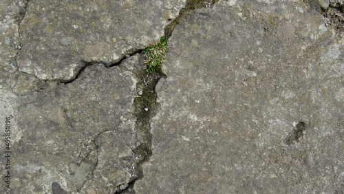 old cracked concrete. Grunge concrete cement wall with crack  for your design and background texture. stone walkway. concrete texture