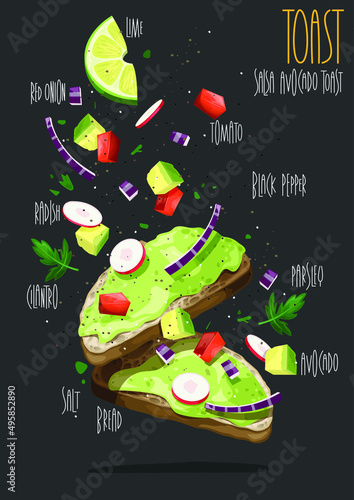 Salsa avocado toast. Vector illustration