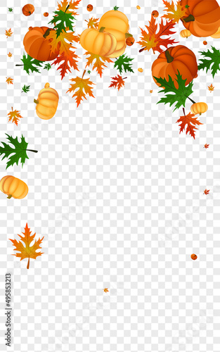 Orange Vegetable Background Transparent Vector. Green Collection Frame. Red Pumpkin Happy Illustration. Rowan Wreath. Invitation Texture.