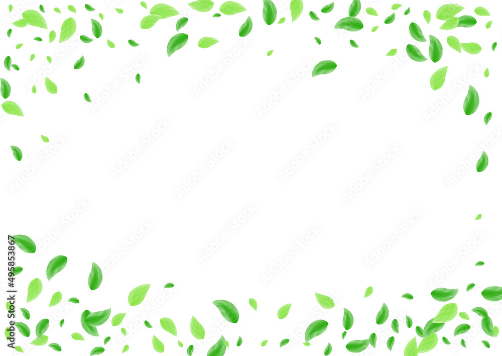 Greenish Foliage Background White Vector. Leaves Delicate Card. Pattern Design. Green Air Frame. Plant Icon. Greenish Foliage Background White Vector. Leaves Delicate Card. Pattern Design. Green Air Frame. Plant Icon.