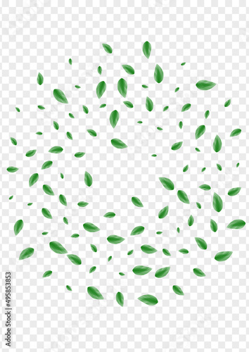 Greenish Vegetation Background Transparent Vector. Greenery Clean Illustration. Motion Design. Green Growth Card. Foliage Air.