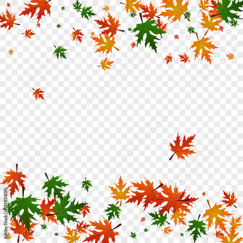 Red Leaf Background Transparent Vector. Leaves Nature Template. Orange Down. Season Pattern. Colorful Foliage Forest.