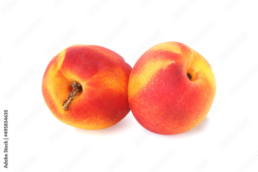 Two nectarines isolated on white Two nectarines isolated on white