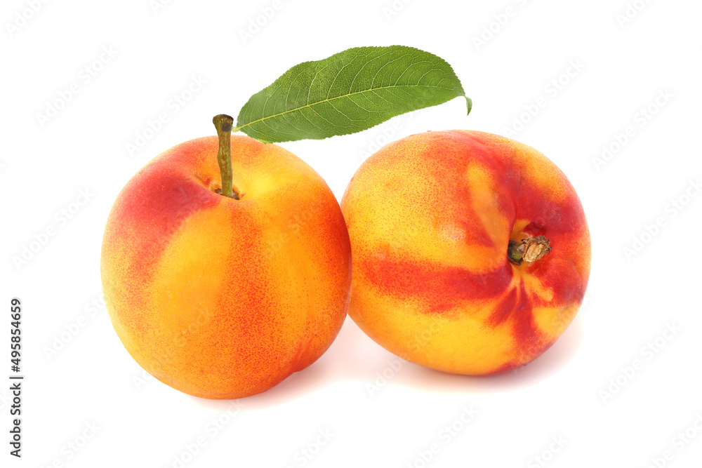 Two nectarines with leaf isolated on white Two nectarines with leaf isolated on white