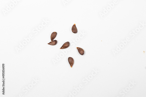 Food Seed With White Background