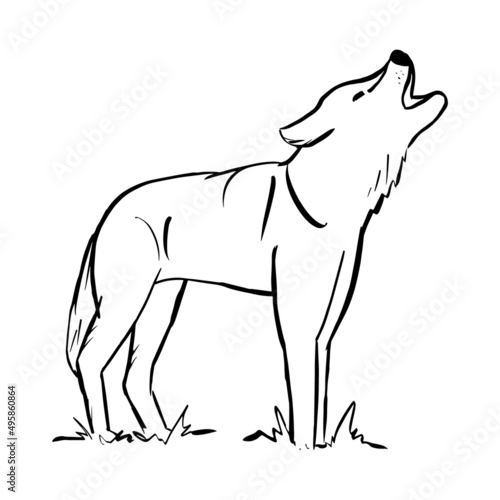 Linear drawing of a howling wolf. Silhouette of a wild animal. Dog, coyote, werewolf. Simple abstract sketch, black outline, isolated on white background. Vector illustration. Head up, mouth open