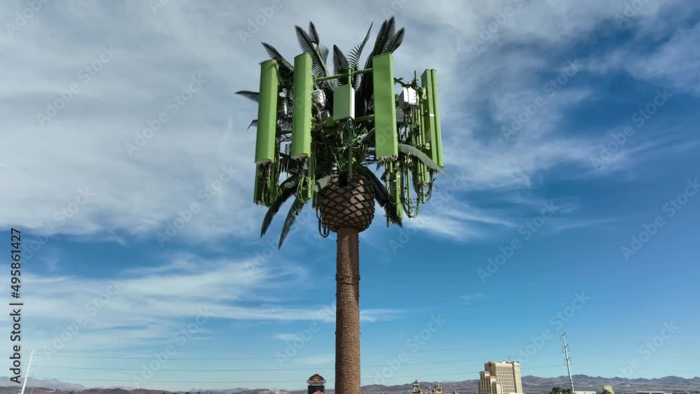 Cell tower disguised as a fake palm tree in city. Drone video rising up