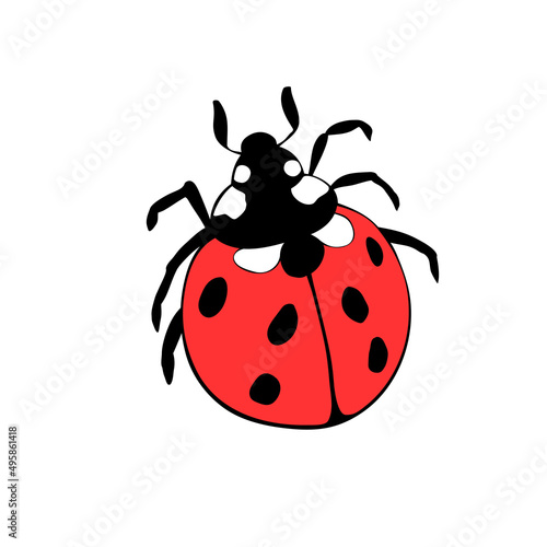 Vector bright red ladybug in flat style. Cute insect, isolated. Top view. Clipart, design element on theme of nature, spring, summer