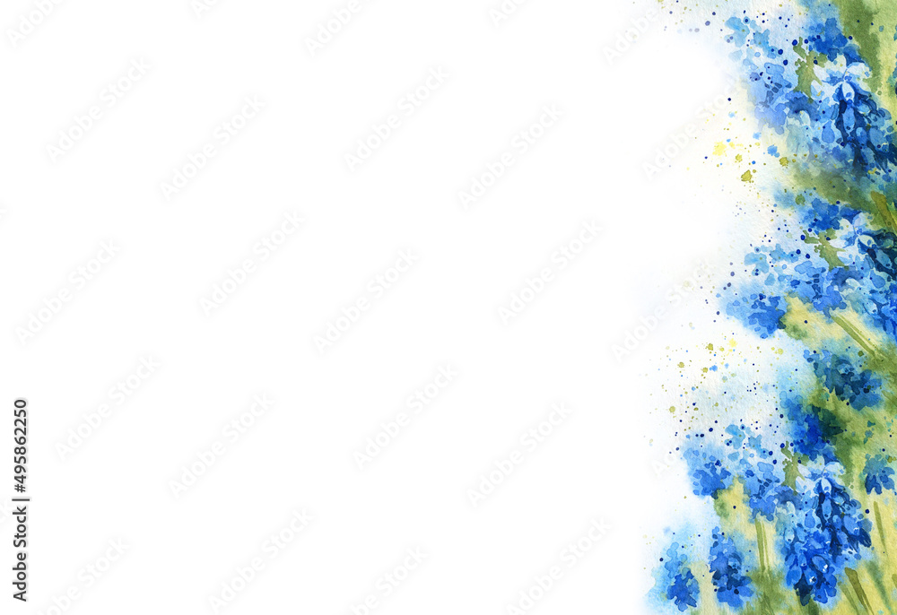 white background with watercolour spring flowers, hand drawn sketch white background with watercolour spring flowers, hand drawn sketch