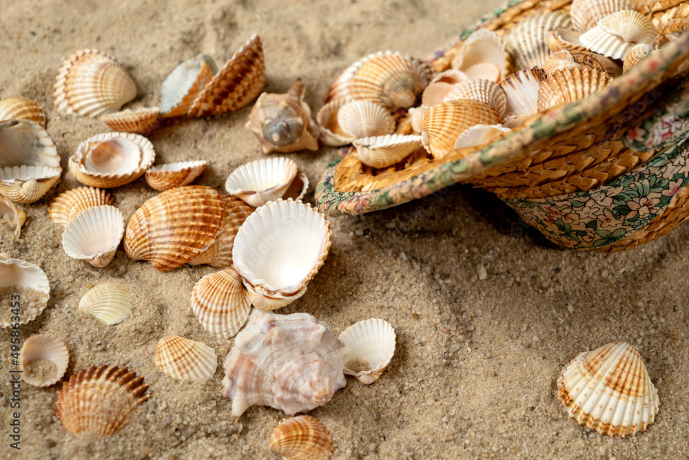 Straw hat filled with seashells collected on the shore is thrown on the sand on the beach