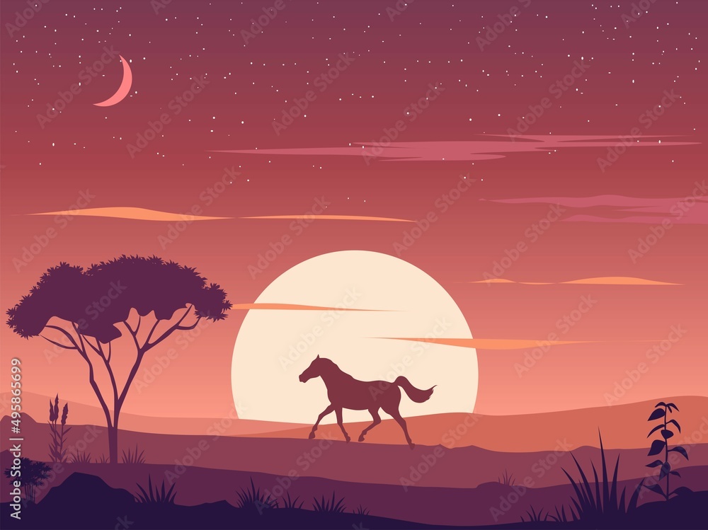 Horse in the sunset desert
