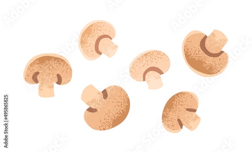 Champignon pieces. Fresh mushrooms, cut halves and slices composition. Agaricus, vegetarian food. Healthy organic nutrition. Textured flat vector illustration isolated on white background