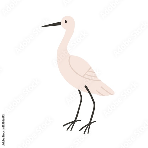 Little egret profile. Aquatic African bird with white plumage, long beak. Wil...