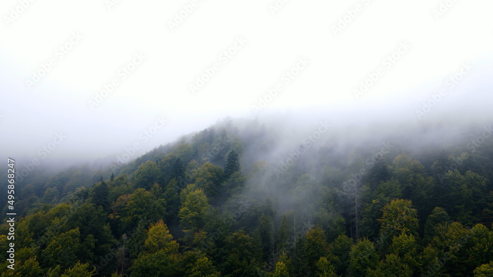 Raining in Mountains, Clouds Mystical Fog, Cloudy Rainy Day, Foggy Forest, Stormy Mist Smoke in Alpine Wood