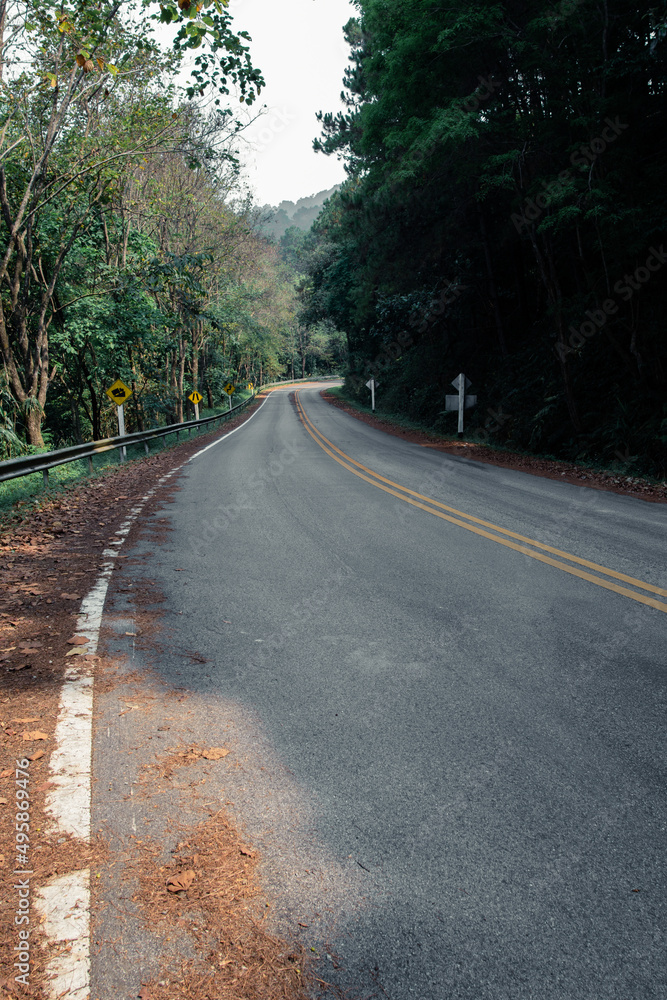 Empty tourist road in the mountains with trees on both sides Empty tourist road in the mountains with trees on both sides