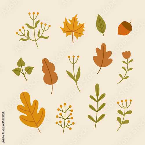 Hand drawn autumn leaves and flowers abstract decorative vector illustration