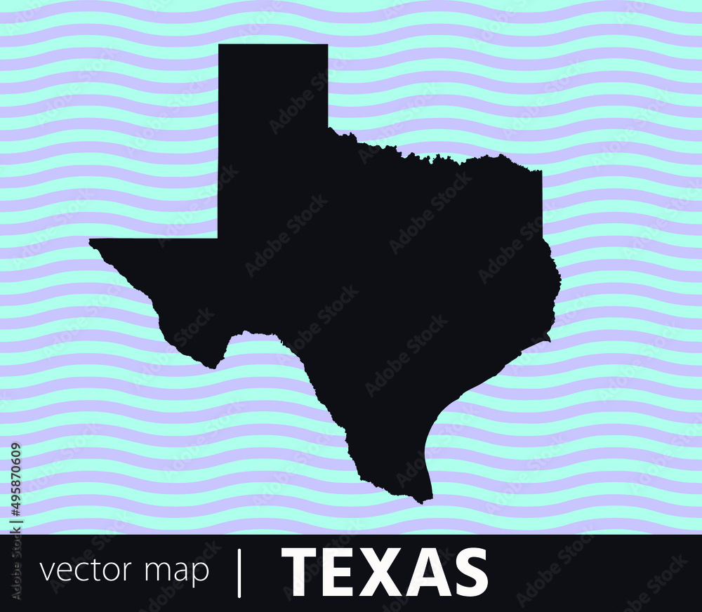 U.S states map. State of Texas vector map. you can use it for any needs