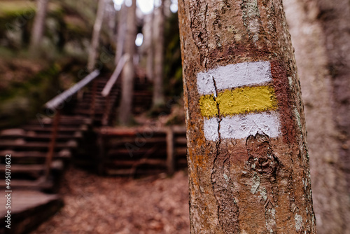 Fototapeta Naklejka Na Ścianę i Meble -  Żółty znak w lesie